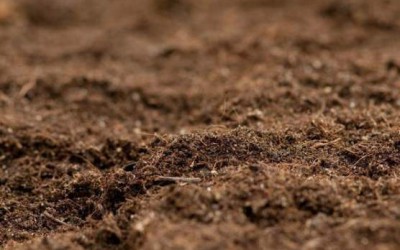 污染粉土中柴油在孔隙中的分佈規律研究